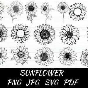 Sunflower SVG, Silhouette, T-shirt, Floral, Graphic, Digital, Commercial use, Instant download, Bundle, Vinyl, Vector, Cricut