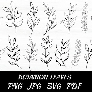 Botanical Leaves and Twigs SVG Bundle, Botanical Clipart, Tree Branch Png, Hand Drawn Vector, Cut files for Cricut, Silhouette, Clipart