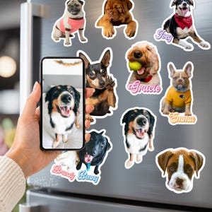 以下が含まれることがあります： パグ、ブルドッグ、ボクサーなど様々な犬種の形をしたカスタムマグネットのコレクション。Joey、Gracie、Emma、Brandy、Bennyなどの名前が記されたものもあります。スマートフォンには黒、白、茶色の犬の写真が表示されています。