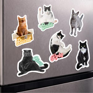 以下が含まれることがあります： 様々な猫の品種やポーズを描いた6枚のダイカット猫ステッカー。ステッカーには、段ボール箱に入ったBiscuit、Sadie、灰色の猫、Kirby、Chevy、白黒の猫といった名前がカラフルな筆記体フォントで印刷されています。各ステッカーには白い縁取りがあります。