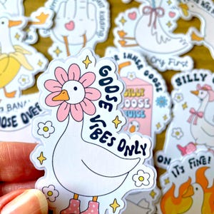 Silly Goose Sticker Pack, Funny Goose Stickers, Adult Humor Vinyl Stickers for Kindle, Laptop, Water Bottle, Meme Goose Waterproof Stickers