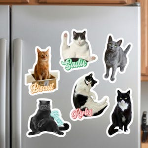 以下が含まれることがあります： 様々な品種やポーズの猫のステッカー6枚。Biscuitと書かれた箱に入ったオレンジ色の猫、Sadieと書かれた白黒の猫、灰色の猫、Chevyと書かれた灰色の猫、Kirbyと書かれた白黒の猫、そして白黒の猫のステッカーが含まれています。