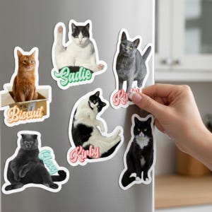 以下が含まれることがあります： 様々な猫の写真がプリントされた6種類の猫型マグネットのコレクション。各マグネットには、Biscuit、Sadie、Kirby、Chevyなどの名前がスタイリッシュな筆記体フォントで記されています。マグネットは金属製の表面に配置されています。