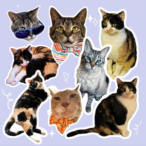 Сustom Cat Stickers, Personalized Cat Face Sticker, Custom Cat Mom Gift, Custom Pet Stickers, Waterproof Vinyl For Water Bottle Laptop
