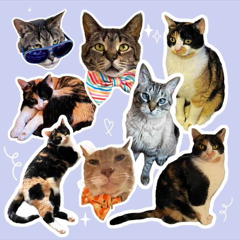 Сustom Cat Stickers, Personalized Cat Face Sticker, Custom Cat Mom Gift, Custom Pet Stickers, Waterproof Vinyl For Water Bottle Laptop