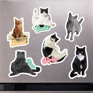 以下が含まれることがあります： 猫の形をした6つのマグネット。猫の写真がプリントされており、Biscuit、Sadie、Chevy、Kirbyという名前がカラフルな筆記体で書かれています。猫たちは箱の中に座っている姿など、さまざまなポーズで描かれています。