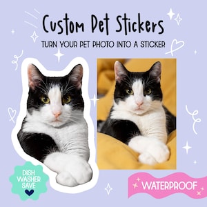 Сustom Cat Stickers, Personalized Cat Face Sticker, Custom Cat Mom Gift, Custom Pet Stickers, Waterproof Vinyl For Water Bottle Laptop