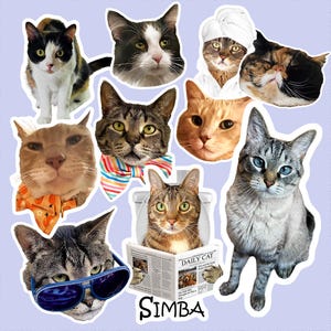 Сustom Cat Stickers, Personalized Cat Face Sticker, Custom Cat Mom Gift, Custom Pet Stickers, Waterproof Vinyl For Water Bottle Laptop