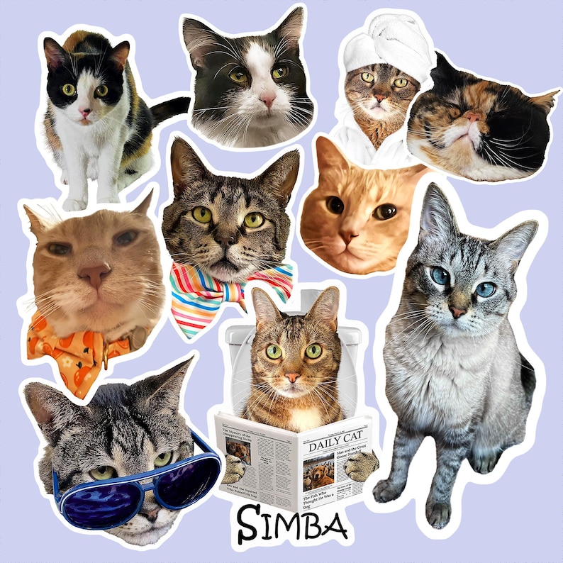 Сustom Cat Stickers, Personalized Cat Face Sticker, Custom Cat Mom Gift, Custom Pet Stickers, Waterproof Vinyl For Water Bottle Laptop