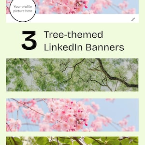 Puede incluir: Tres diseños de banners con temática de árboles para LinkedIn. La primera pancarta presenta un primer plano de flores de cerezo rosas sobre un fondo de cielo azul. La segunda pancarta muestra una vista de ramas de árboles verdes desde abajo. La tercera pancarta muestra un primer plano de hojas verdes sobre un fondo de cielo brillante.