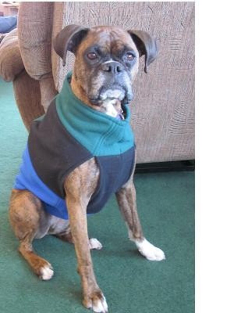 Custom Made Boxer Dog Fleece Jacket Etsy