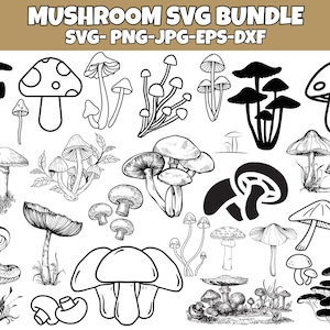 Mushroom Svg Bundle, Floral Mushroom Clipart, Magic Mushroom Svg, Boho Svg, Magic Svg, Mystic Mushroom Png, Silhouette, Svg Cut File