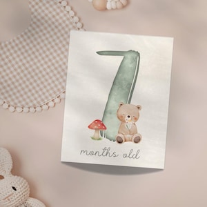 Biglietti per le tappe di crescita del bambino con animali del bosco / Biglietti mensili stampabili per neonati / Baby shower a tema bosco / Accessori per foto di neonati / Download immediato