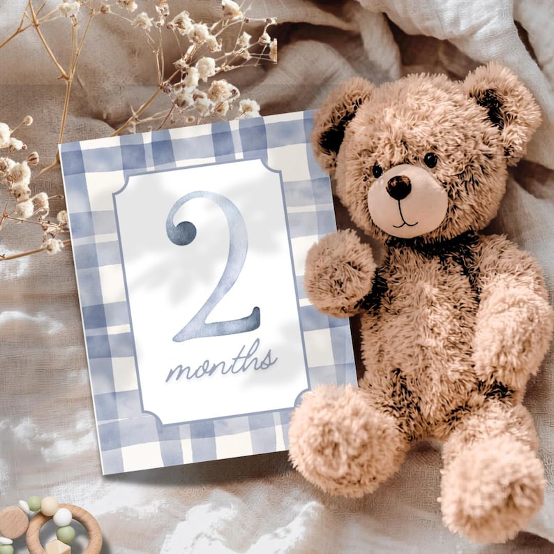 Blue Gingham Baby Milestone Cards | Printable Baby Boy Milestone Cards ...