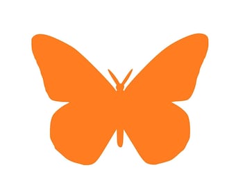 20 Pack Paper Butterfly Cutouts: DIY Scrapbooking Shapes