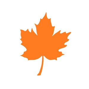 May include: An orange maple leaf with a simple silhouette.