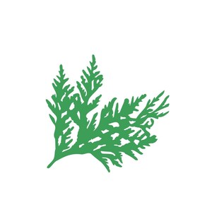 Paper Cedar Leaf Die Cuts: Cedar Branch Greens Scrapbooking & Craft Embellishments (20) Pack