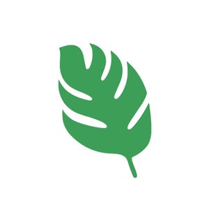 May include: A solid green tropical leaf illustration, likely a monstera, against a white background. The leaf has several deep, curved cuts along its edges, giving it a distinctive shape. The stem is visible at the bottom.