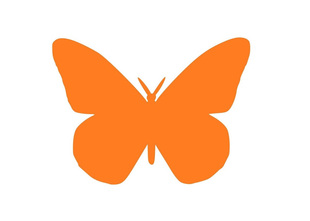 20 Pack Paper Butterfly Shapes, Die Cut Butterfly, Butterfly Cutouts