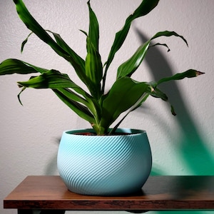 Textured Swirl Indoor Planter | Modern Aesthetic 3D-Printed Pot for Home & Office | Made in the USA