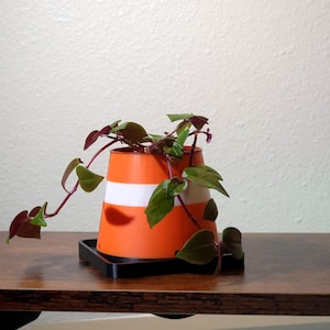 May include: A small potted plant with trailing vines in a bright orange and white cone-shaped planter. The planter has a black saucer.