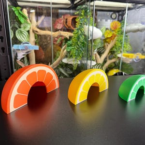 May include: Three colorful fruit slice decorations: an orange, a lemon, and a lime. The orange slice is orange with white details, the lemon is yellow, and the lime is green. Each has a white border and a curved shape.