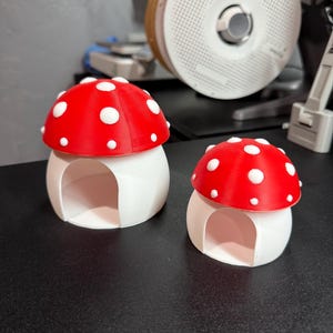 Mushroom Reptile Hide