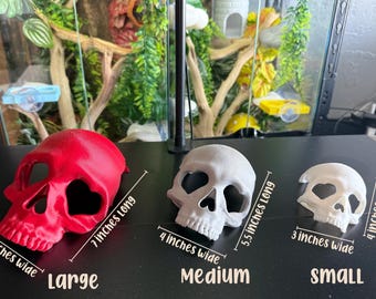 Heart Eye Skull Hide