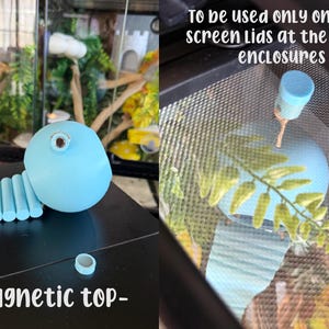 Gecko/Reptile Coconut Hide with Bridge immagine 5