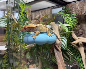 Gecko/Reptile Cloud Ledges