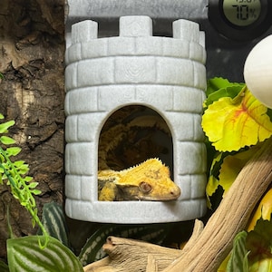Gecko/Reptile Castle Hide