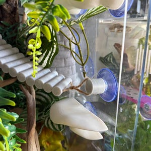 Pu&ograve; includere: Interno di terrario con un ponte, un castello e varie piante. Il ponte &egrave; fatto di cilindri grigi. Il castello &egrave; grigio. Le piante sono verdi e gialle. Il terrario ha una facciata in vetro trasparente.