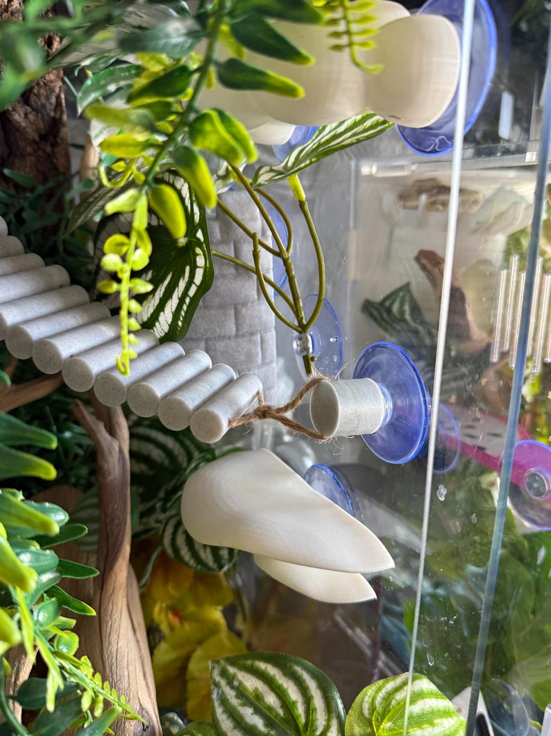 Pu&ograve; includere: Interno di terrario con un ponte, un castello e varie piante. Il ponte &egrave; fatto di cilindri grigi. Il castello &egrave; grigio. Le piante sono verdi e gialle. Il terrario ha una facciata in vetro trasparente.