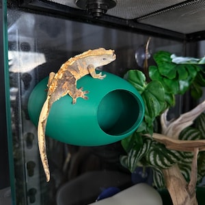 Gecko Oval Hide