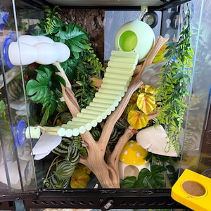 Pu&ograve; includere: Un terrario per rettili con una scala verde chiaro, un nascondiglio sferico e un nascondiglio a forma di fungo. Il recinto &egrave; decorato con piante artificiali e un ramo di legno naturale. L'habitat &egrave; progettato per imitare un ambiente naturale.