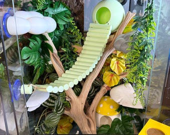 Gecko/Reptile Coconut Hide with Bridge