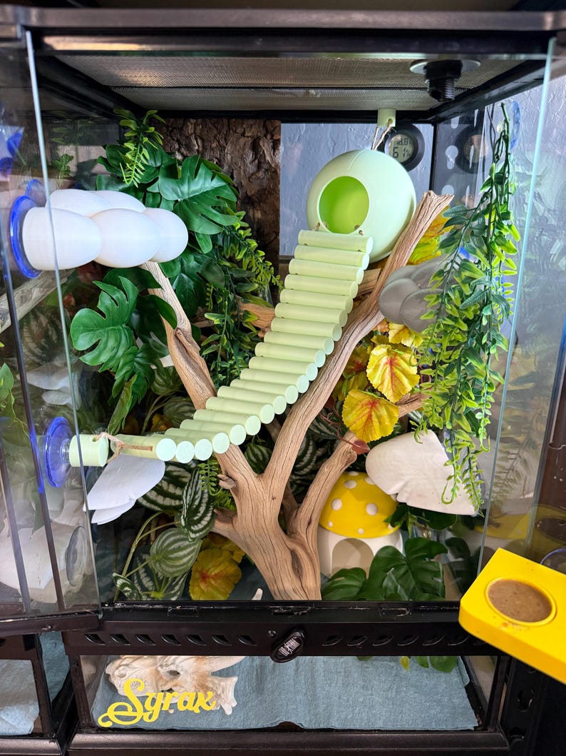 Pu&ograve; includere: Un terrario per rettili con una scala verde chiaro, un nascondiglio sferico e un nascondiglio a forma di fungo. Il recinto &egrave; decorato con piante artificiali e un ramo di legno naturale. L'habitat &egrave; progettato per imitare un ambiente naturale.