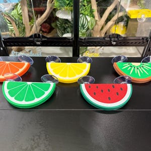 Gecko/Reptile Fruit Ledges