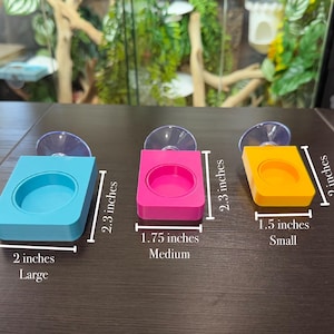 Gecko/Reptile Single Feeding Ledge with Bowl