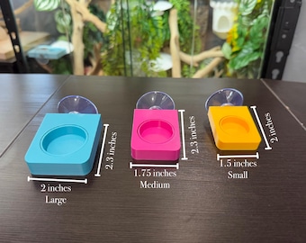 Gecko/Reptile Single Feeding Ledge with Bowl