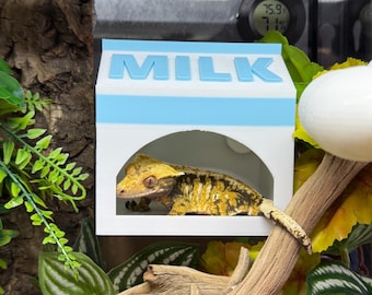 May include: A crested gecko inside a white and blue milk carton-shaped hide. The hide has the word "MILK" in blue block letters. The gecko is yellow and brown, with a textured appearance. The enclosure includes branches, leaves, and a digital thermometer.
