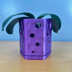 May include: A purple, geometric-patterned planter with hexagonal cutouts. The planter holds a green plant with large leaves. The planter is sitting on a wooden surface with a blue background.