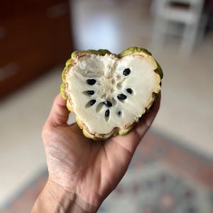 Annona Squamosa Sugar Apple Fruit Tree Seeds
