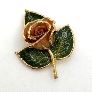 May include: A gold-toned rose brooch with a detailed, reddish-brown flower and green leaves. The leaves have gold edging and delicate veining. The stem is also gold, creating a classic floral accessory.