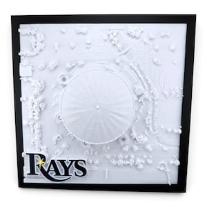 May include: A square, framed 3D relief map of a stadium in white, featuring a central domed structure surrounded by textured landscape details. The logo for the Rays is displayed in the bottom left corner in navy blue, white, and yellow.