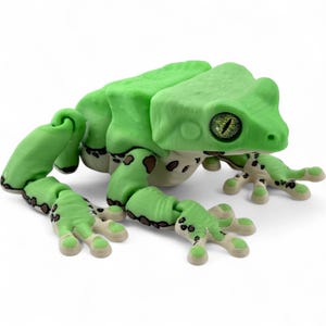 May include: A 3D-printed articulated frog figure in a bright lime green color. The frog features a textured surface, dark brown spots along its limbs and underbelly, and large, detailed eyes with a yellow iris and a black vertical pupil.