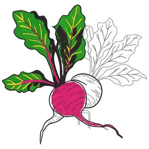 Peut inclure: Motif brodé d'un radis avec des feuilles vertes et un contour de radis blanc. Le radis est rose vif avec une longue racine incurvée. Les feuilles sont vertes avec des veines jaunes et roses.