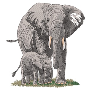 May include: A grey adult elephant and a smaller grey baby elephant standing side-by-side in a grassy field.