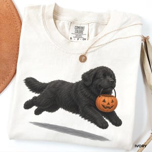 May include: An ivory-colored t-shirt featuring a graphic of a fluffy black dog running while carrying a small orange jack-o'-lantern pumpkin bucket in its mouth. The shirt has a crew neckline and a Comfort Colors brand label at the inner collar.