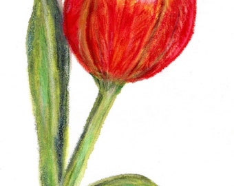 Original 9" x 7" Matted Wax Pastel Painting - "Tulip" - Hand-Painted, Free Shipping!